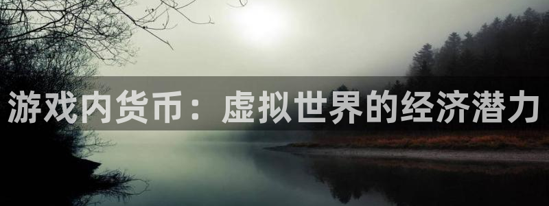 顺盈平台注册开户流程：游戏内货币：虚拟世界的经济潜力