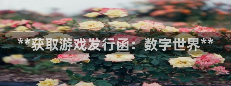 顺盈娱乐官网首页登录网址：**获取游戏发行函：数字世界**