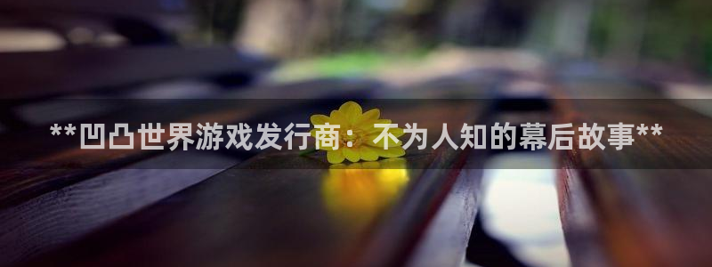 顺盈娱乐官网首页登录网址：**凹凸世界游戏发行商：不为人知的幕后故事**