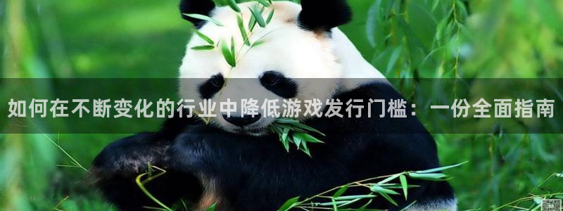 顺赢电子官网：如何在不断变化的行业中降低游戏发行门槛：一份全面指南