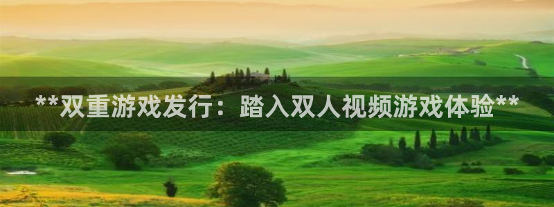 顺盈国际下载安装：**双重游戏发行：踏入双人视频游戏体验**