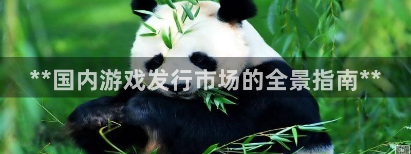 顺盈娱乐登录平台：**国内游戏发行市场的全景指南**