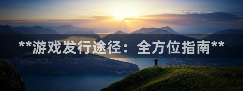 顺盈平台注册网址是什么：**游戏发行途径：全方位指南**