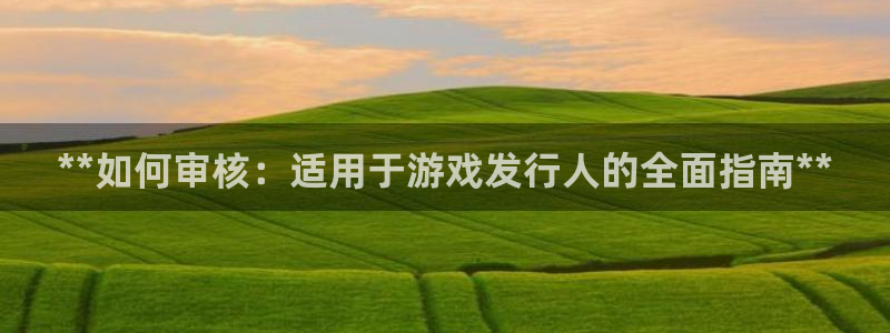 顺盈平台注册流程视频：**如何审核：适用于游戏发行人的全面指南**