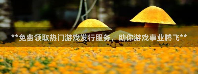 顺盈平台注册资金多少亿：**免费领取热门游戏发行服务，助你游戏事业腾飞**