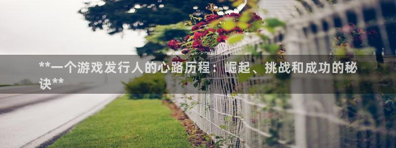 顺盈实业：**一个游戏发行人的心路历程：崛起、挑战和成功的秘
诀**