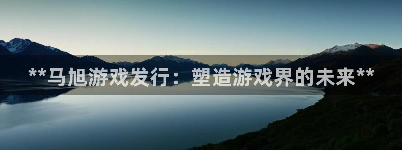 顺盈平台登陆地址：**马旭游戏发行：塑造游戏界的未来**