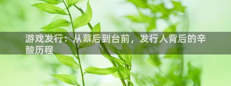 顺盈娱乐公司介绍怎么写：游戏发行：从幕后到台前，发行人背后的辛
酸历程