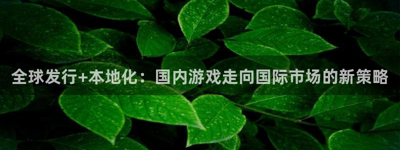 顺盈娱乐官网首页登录网站