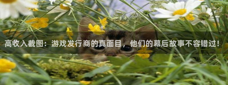 顺盈娱乐官网首页入口：高收入截图：游戏发行商的真面目，他们的幕后故事不容错过！