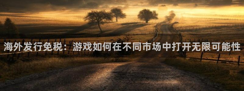 顺盈平台注册：海外发行免税：游戏如何在不同市场中打开无限可能性