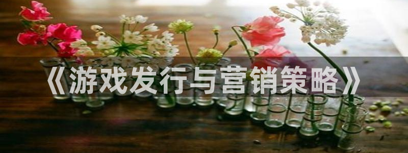 顺盈娱乐平台最新活动信息：《游戏发行与营销策略》