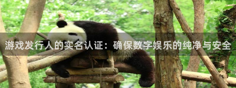 顺盈平台注册流程图：游戏发行人的实名认证：确保数字娱乐的纯净与安全