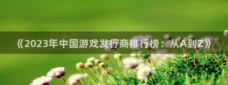 顺盈平台注册地址在哪查：《2023年中国游戏发行商排行榜：从A到Z》