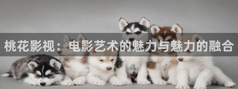 伊人影院 久久