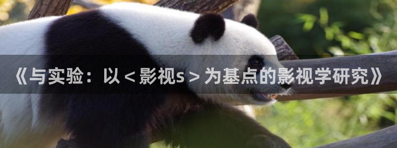 伊人午夜电影